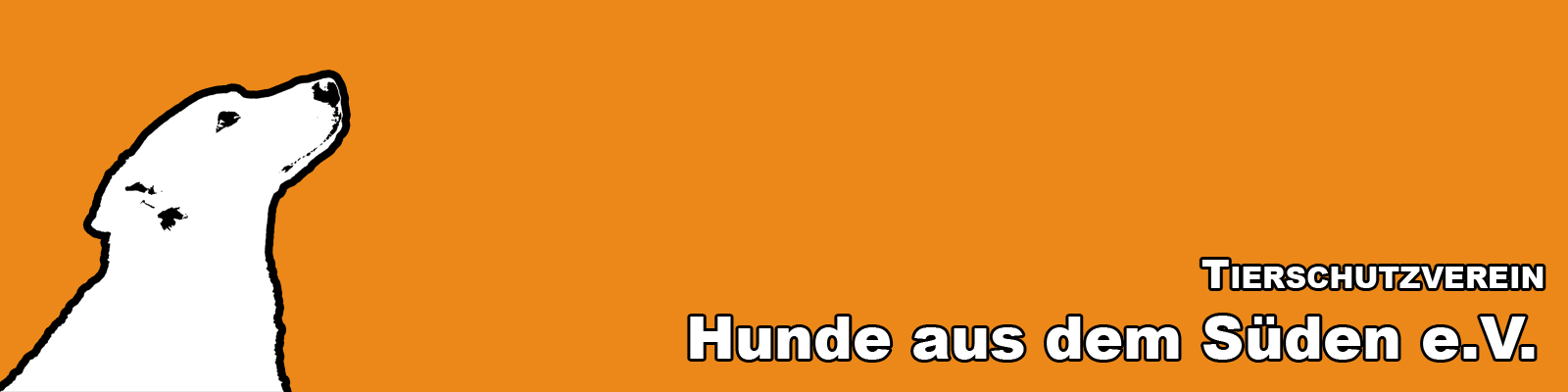 Titel-Banner